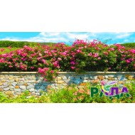 Фотосетка для декора забора "Каменный забор с цветами"