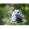 Помогает ли ультразвук от мышей и крыс?